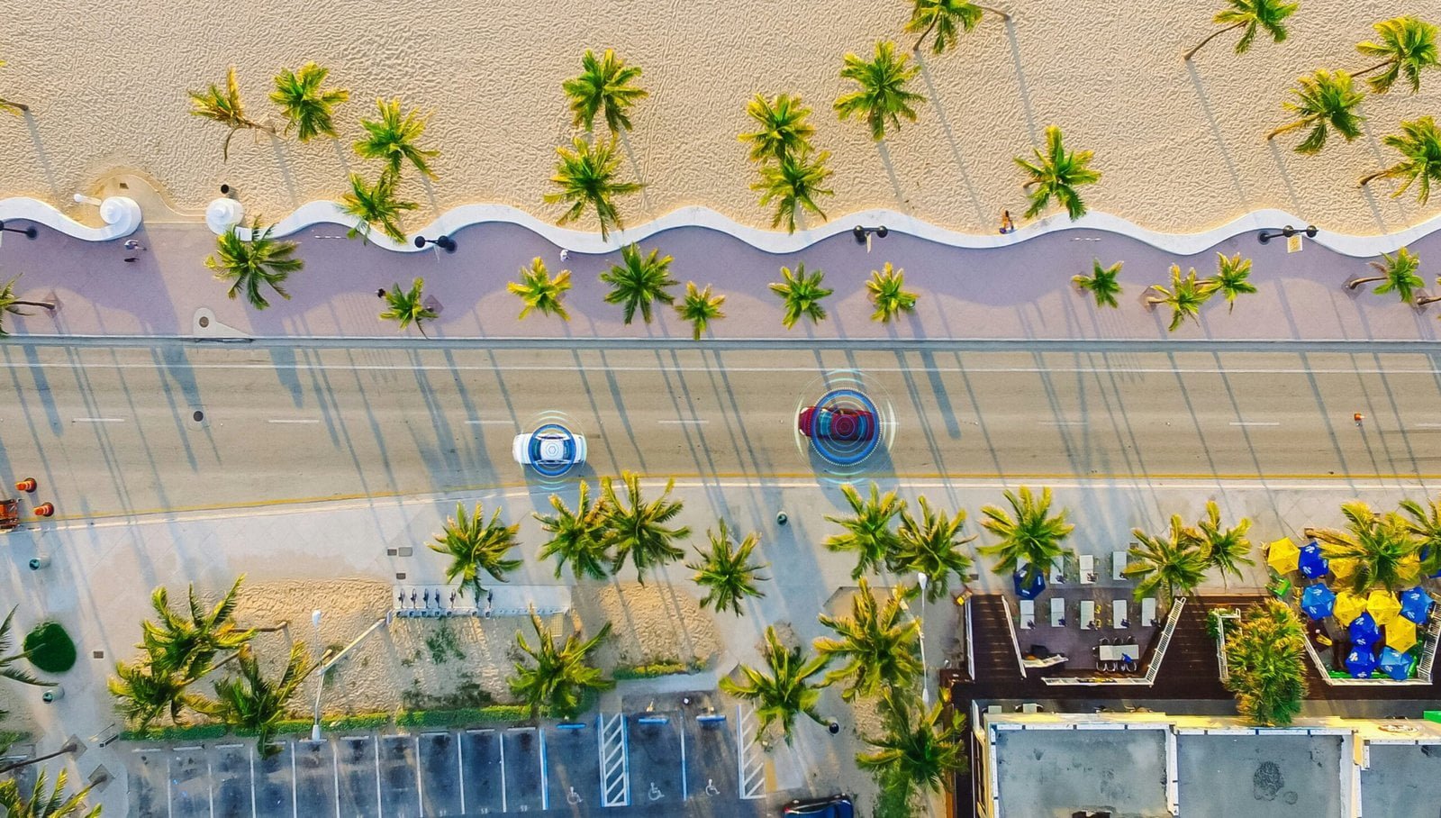 an aerial view of a beach with palm trees to show computer vision